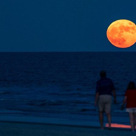 Appartamento Million Dollar Oceanfront View Hilton Head Island Esterno foto