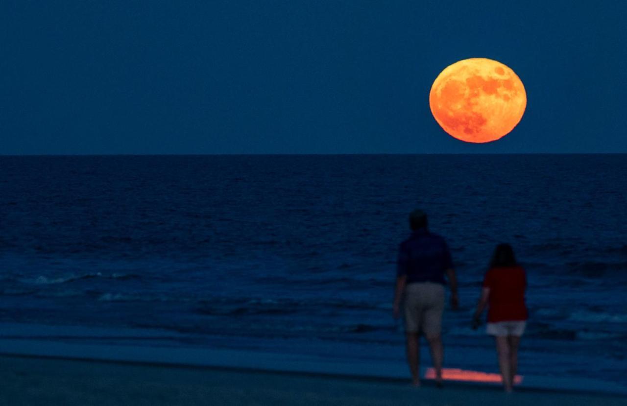 Appartamento Million Dollar Oceanfront View Hilton Head Island Esterno foto
